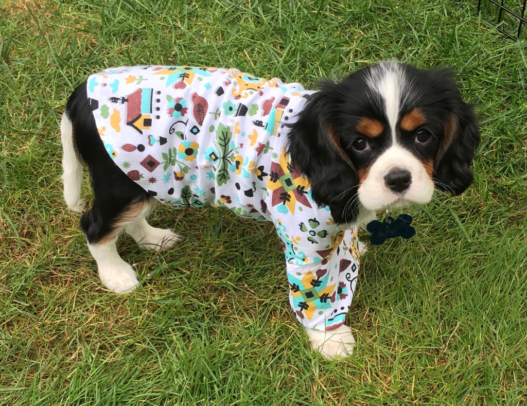 No-Sew Puppy Sleep Shirt with Soft Stretch HeatnBond