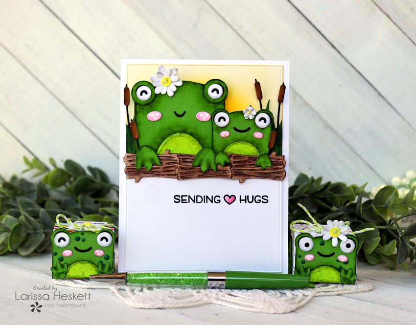 Deco Foil Flocked Frog Cards and Gift Boxes