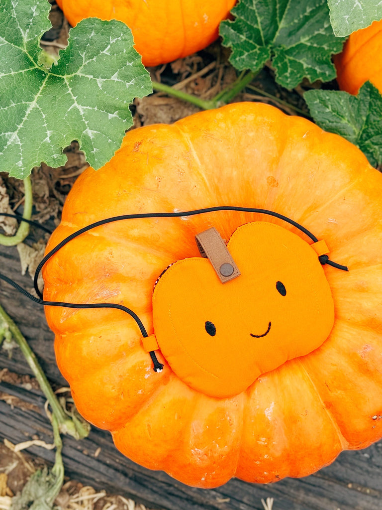 Pumpkin Pouch Purse