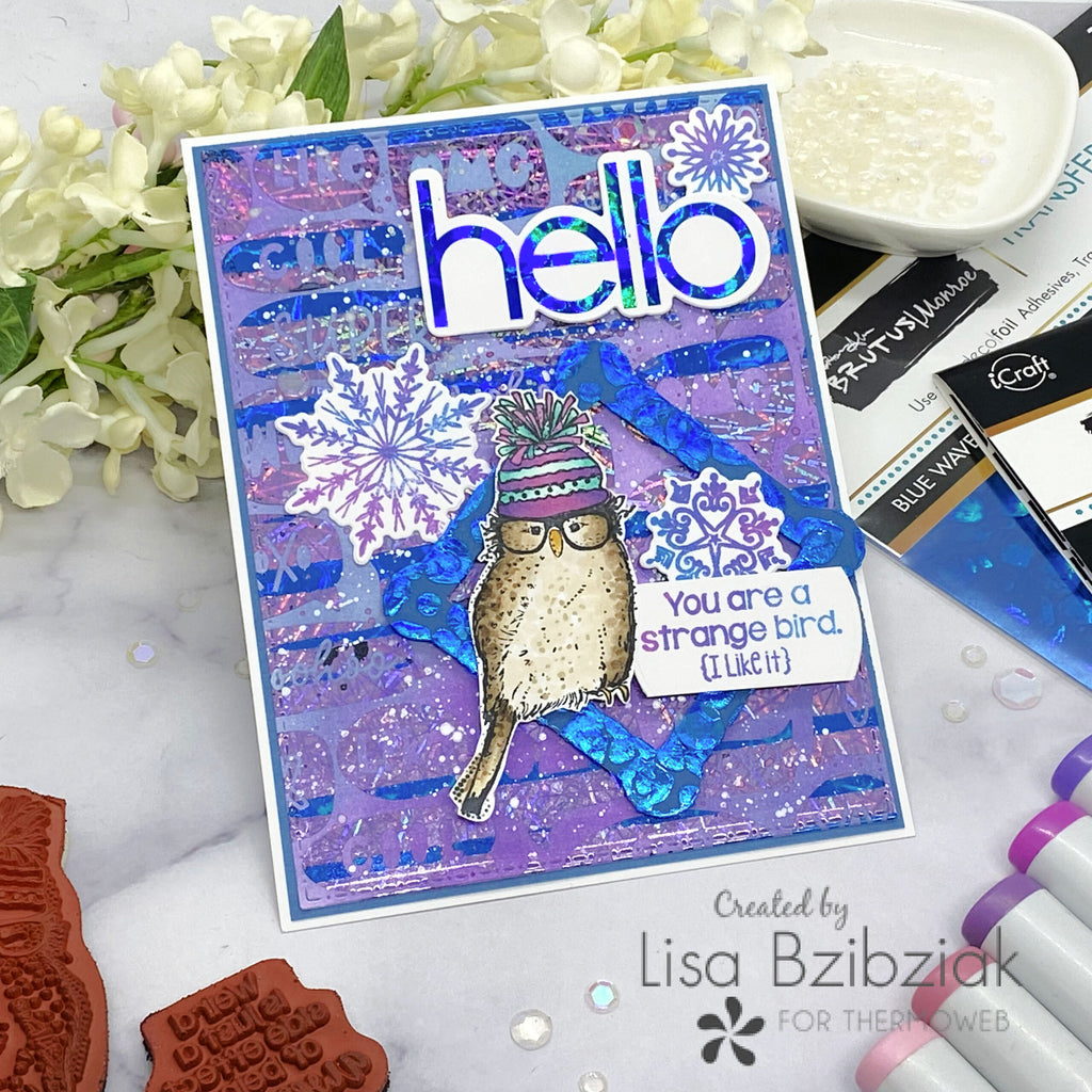 Colorful Winter Animals Cards with Brutus Monroe