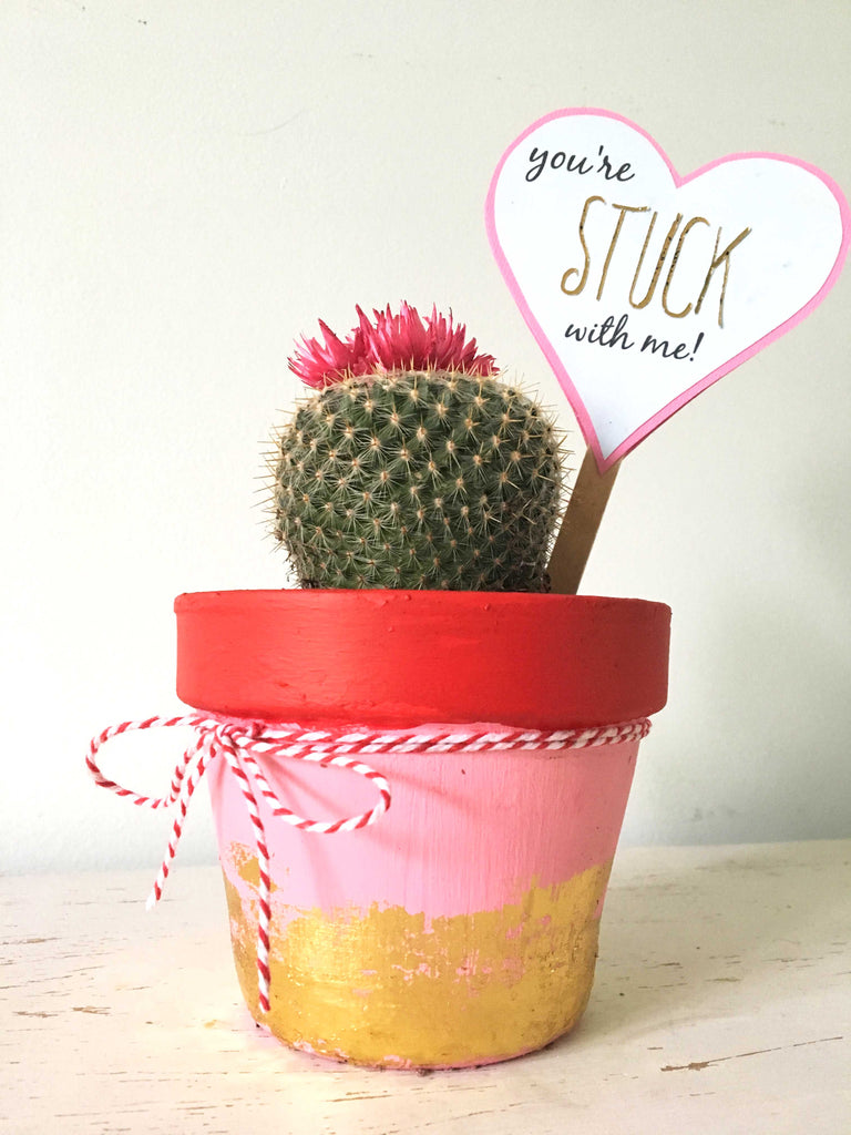 Cacti Pot Valentine's Gift with DecoFoil
